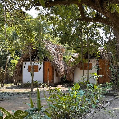 La Aldea Hostel, Camping Y Hamacas Palomino Bagian luar foto