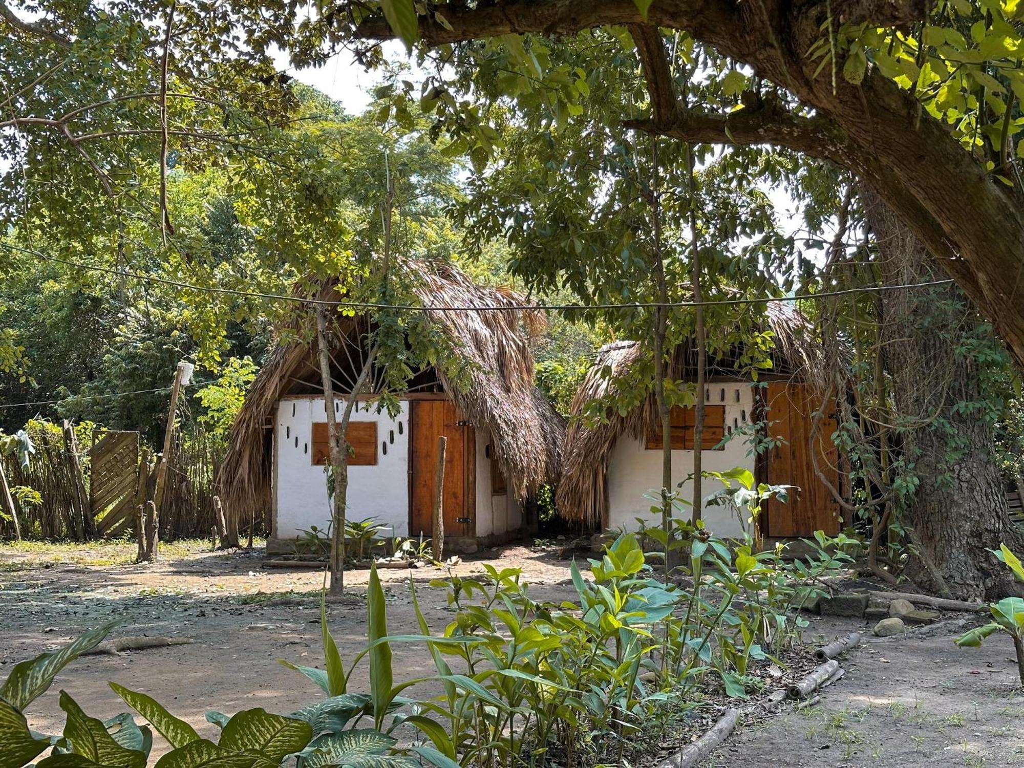 La Aldea Hostel, Camping Y Hamacas Palomino Bagian luar foto