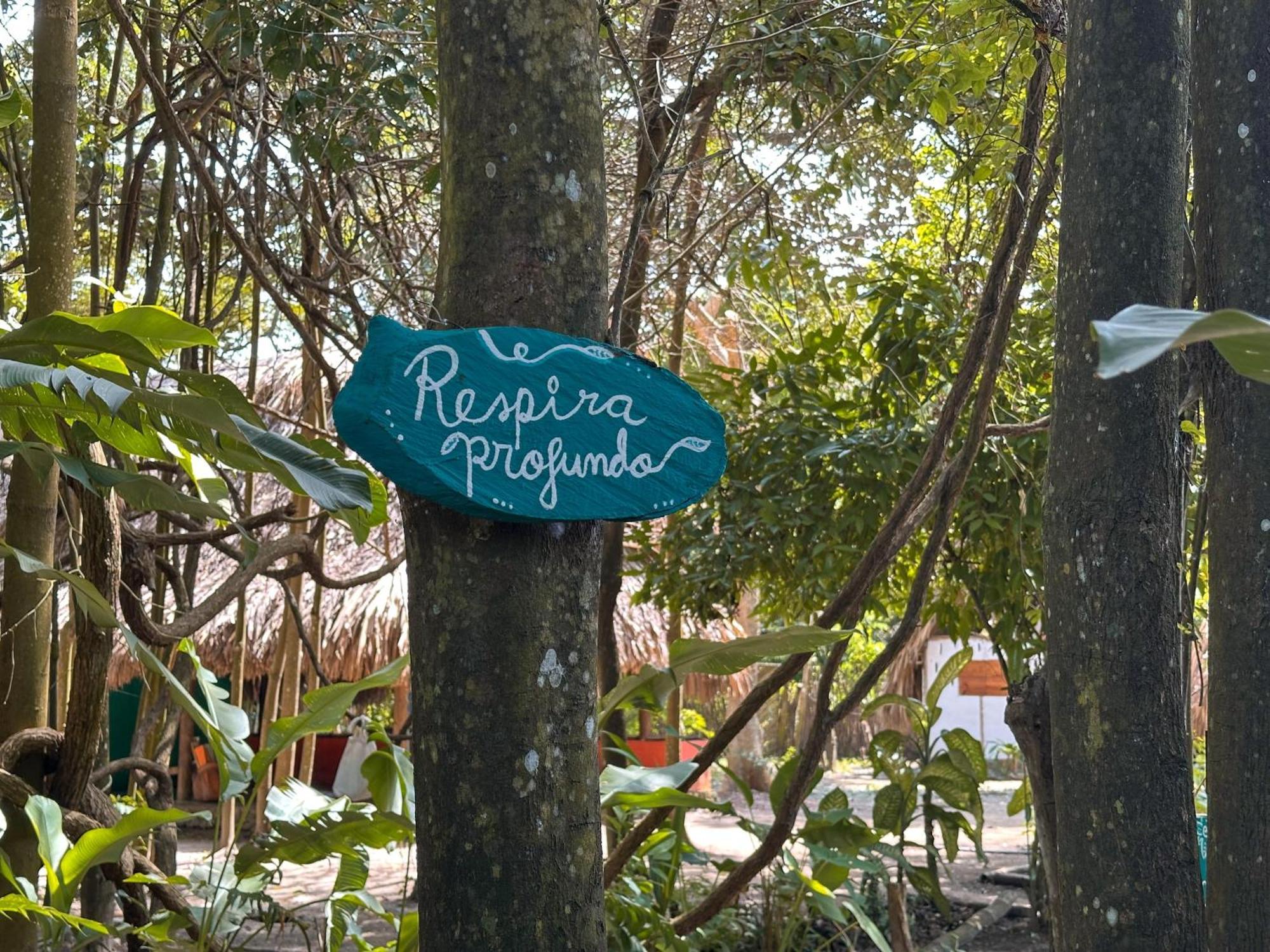 La Aldea Hostel, Camping Y Hamacas Palomino Bagian luar foto