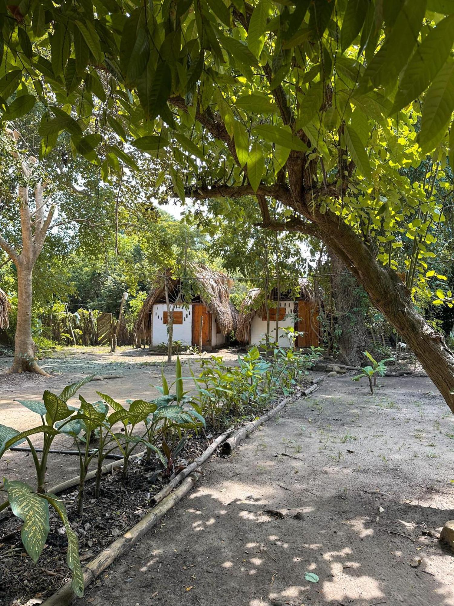 La Aldea Hostel, Camping Y Hamacas Palomino Bagian luar foto