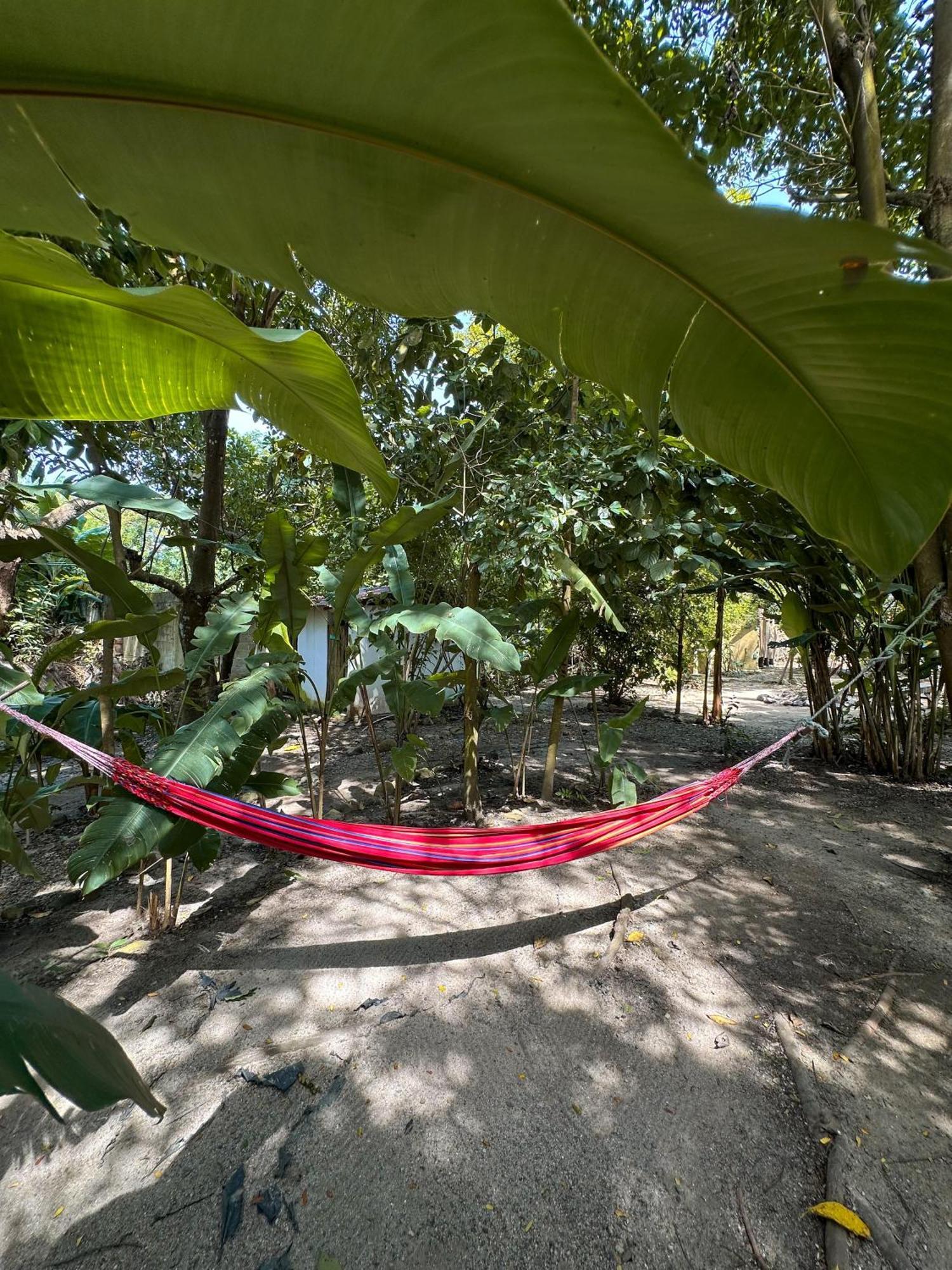 La Aldea Hostel, Camping Y Hamacas Palomino Bagian luar foto